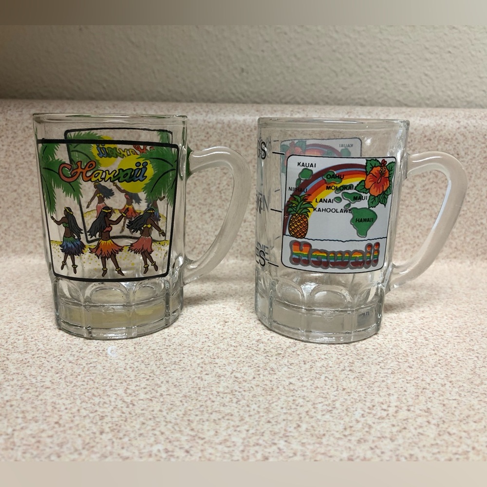 Hawaii Mug Shape Shot Glass set